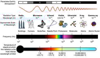Picture of Spectrum