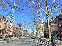 Picture of Hamilton Heights
