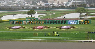 Picture of Golden Gate Fields