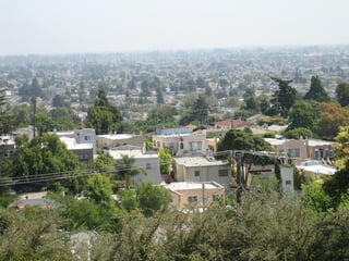 Picture of Maxwell Park