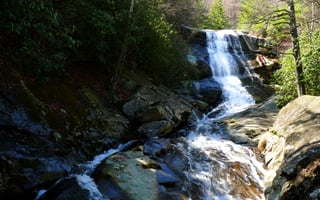 Picture of Pisgah National Forest
