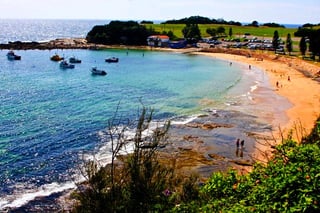 Picture of Terrigal
