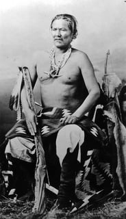 Picture of Navajo