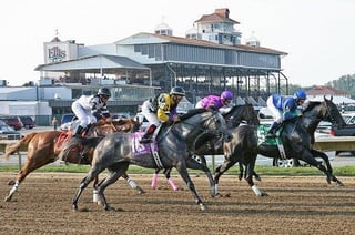 Picture of Ellis Park Race Course