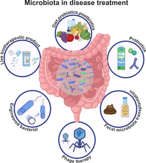 Picture of Gut microbiota