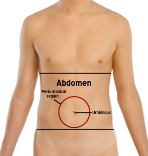Picture of abdomen