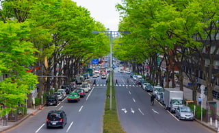 Picture of Omotesandō