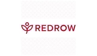 Picture of Redrow plc