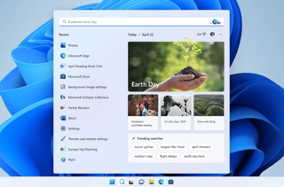 Picture of Windows Search