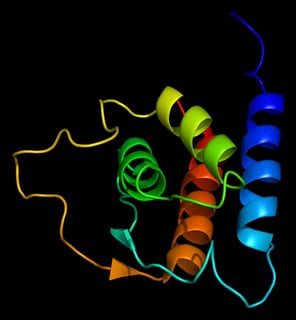 Picture of Interleukin 13
