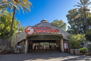 Picture of San Diego Zoo Safari Park