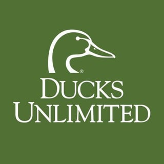 Picture of Ducks Unlimited