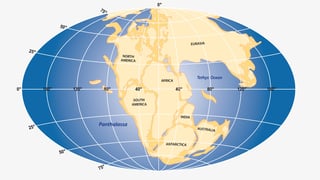Picture of Pangaea