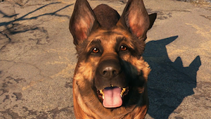 Picture of Dogmeat