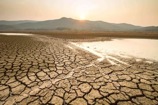 Picture of Drought