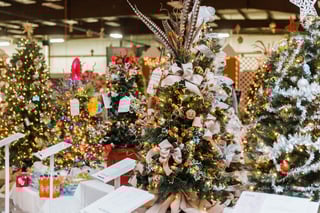 Picture of Festival of Trees