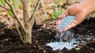 Picture of Fertilizer