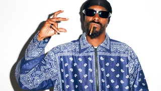 Picture of Crips