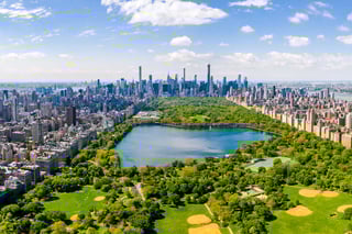 Picture of Central Park