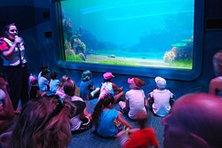Picture of Turtle Talk with Crush