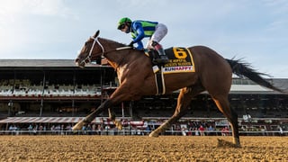 Picture of Champagne Stakes