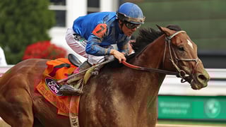 Picture of Metropolitan Handicap