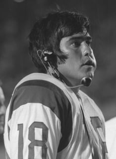 Picture of Roman Gabriel