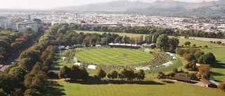 Picture of Hagley Oval