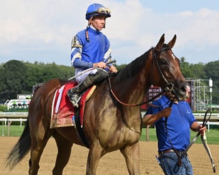 Picture of Test Stakes