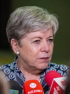 Picture of Alicia Bárcena Ibarra