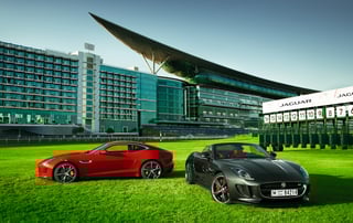 Picture of Meydan Racecourse