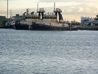 Picture of Port of Newcastle