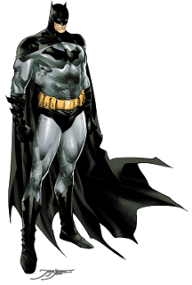 Picture of Batsuit