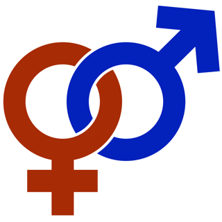 Picture of Gender