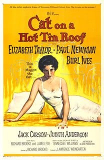 Picture of Cat on a Hot Tin Roof