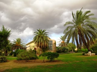 Picture of Sa'ad