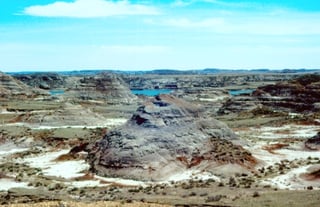 Picture of Hell Creek Formation