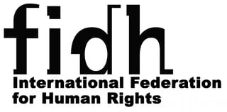 Picture of International Federation for Human Rights