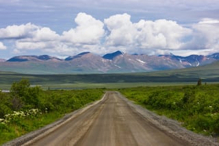 Picture of Denali Highway