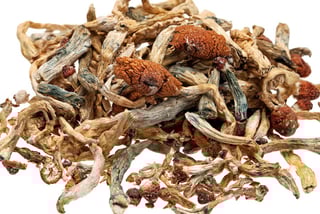 Picture of Psilocybin
