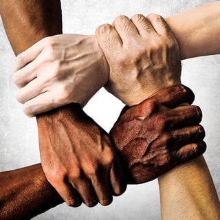 Picture of Toleration