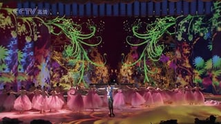 Picture of CCTV New Year's Gala
