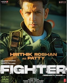 Picture of Fighter