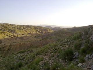 Picture of Hangu