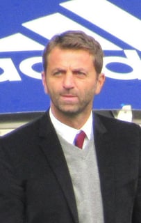 Picture of Tim Sherwood