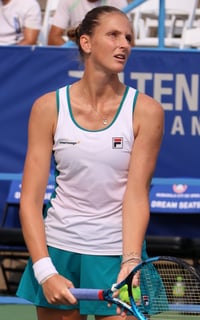 Picture of Karolína Plíšková