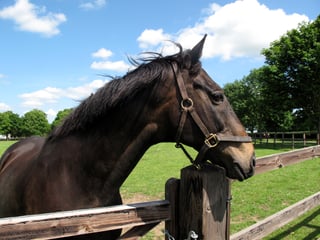 Picture of Amberleigh House