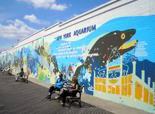 Picture of New York Aquarium
