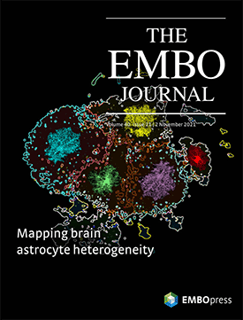 Picture of The EMBO Journal