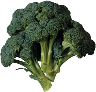 Picture of Broccoli